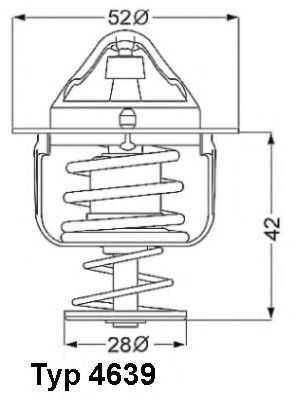 termostat,lichid racire